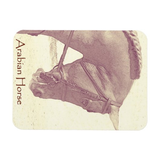 Arabische Paard magneet (Horizontaal)