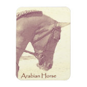 Arabische Paard magneet (Verticaal)