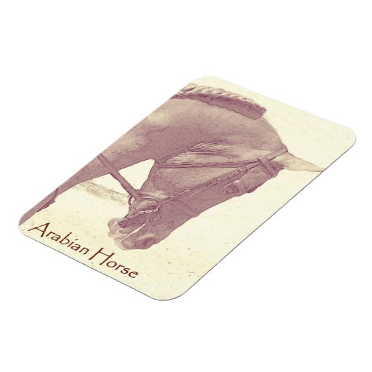 Arabische Paard magneet (Linkerzijde)