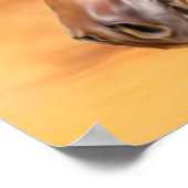Arabische paard poster (Hoek)