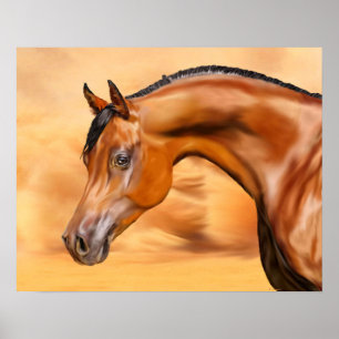 Arabische paard poster