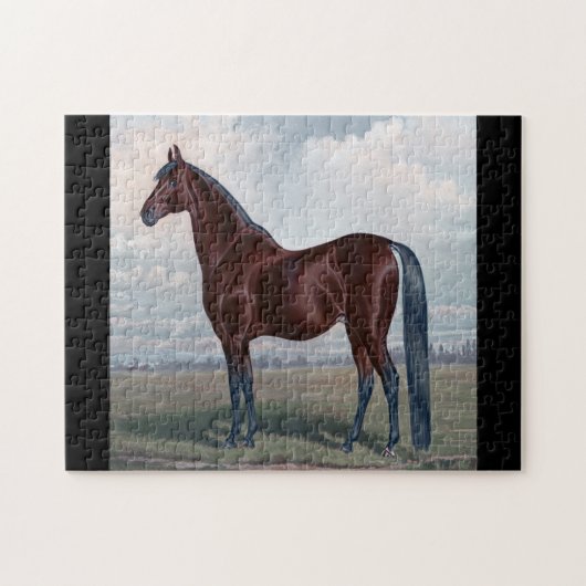 Arabische paard staand in een veld legpuzzel (Horizontaal)