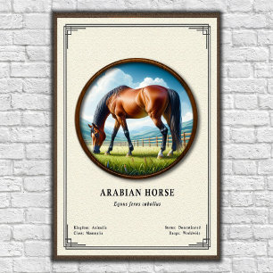 Arabische Paard Zoölogie Serie Poster