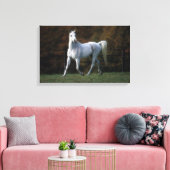Arabische paarden aan het rijden 1 canvas afdruk (Insitu (Woonkamer))