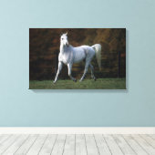Arabische paarden aan het rijden 1 canvas afdruk (Insitu (Houten vloer))