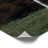 Arabische paarden aan het rijden 1 poster (Hoek)