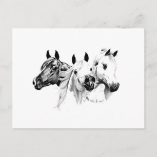 Arabische paarden briefkaart