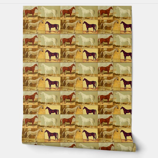  Arabische paarden - collage Behang (Afrollen)