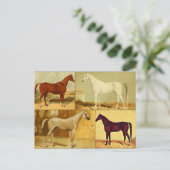  Arabische paarden - collage Briefkaart (Staand voorkant)