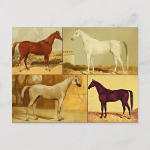 Arabische paarden - collage Briefkaart