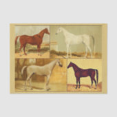  Arabische paarden - collage Tissuepapier (Voorkant)
