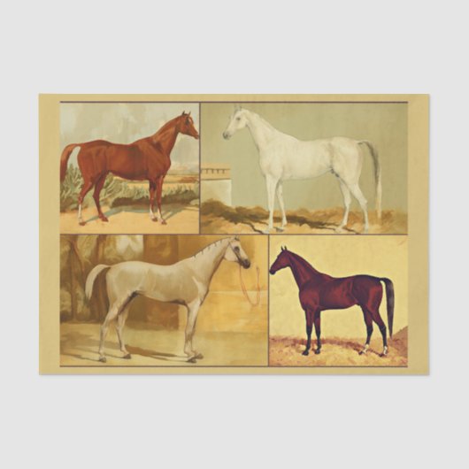  Arabische paarden - collage Tissuepapier (Voorkant)