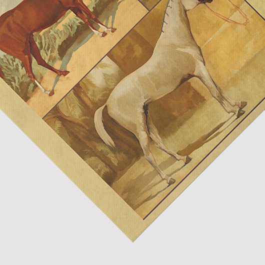  Arabische paarden - collage Tissuepapier (Detail)
