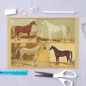  Arabische paarden - collage Tissuepapier (Craft)