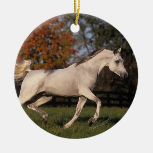 Arabische paarden: herfst. 2 keramisch ornament