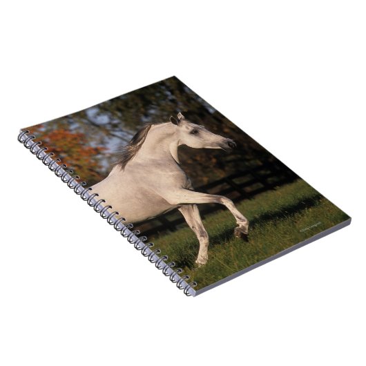 Arabische paarden: herfst. 2 notitieboek (Rechterzijde)