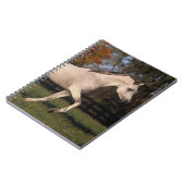 Arabische paarden: herfst. 2 notitieboek (Linkerzijde)