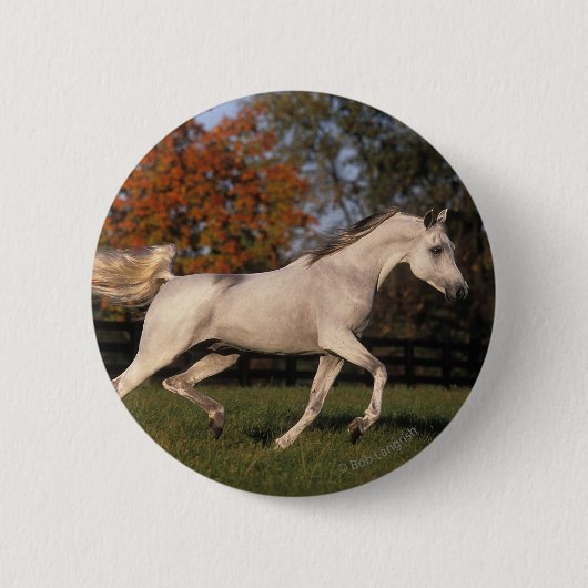 Arabische paarden: herfst. 2 ronde button 5,7 cm (Voorkant)