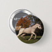 Arabische paarden: herfst. 2 ronde button 5,7 cm (Voorkant /achterkant)