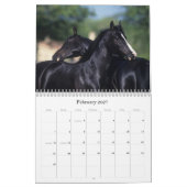 Arabische paarden kalender (Feb 2027)