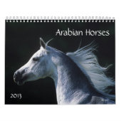 Arabische paarden kalender (Hoes)