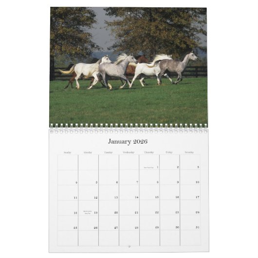 Arabische paarden kalender (Jan 2026)