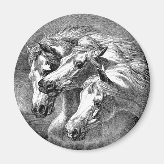 Arabische paarden magneet (Voorkant)