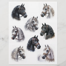 Arabische paarden met mooie tegels