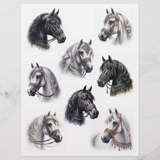 Arabische paarden met mooie tegels (Voorkant)