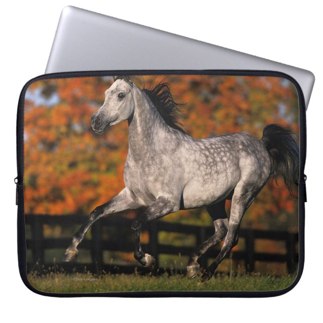 Arabische paarden: najaar 1 laptop sleeve (Voorkant)