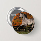 Arabische paarden: najaar 1 ronde button 5,7 cm (Voorkant /achterkant)