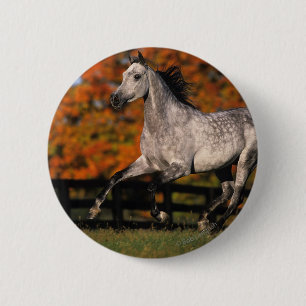 Arabische paarden: najaar 1 ronde button 5,7 cm