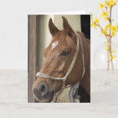 arabische paarden Wenskaart Kaart (Gele Bloem)