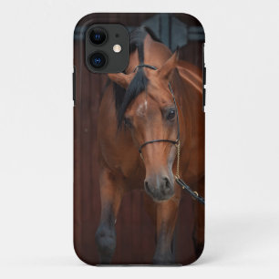 arabische paardenschoonheid. baai Case-Mate iPhone case