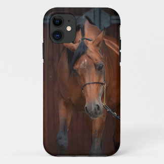 arabische paardenschoonheid. baai Case-Mate iPhone case