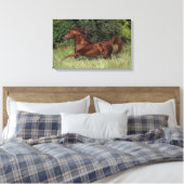 Arabische Stallion in de gras Canvas Afdruk (Insitu (Slaapkamer))