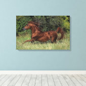 Arabische Stallion in de gras Canvas Afdruk (Insitu (Houten vloer))