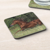 Arabische Stallion in de gras Drankjes Onderzetter (Linkerzijde)