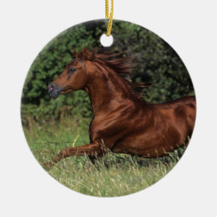 Arabische Stallion in de gras Keramisch Ornament
