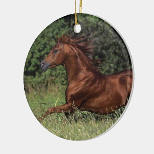 Arabische Stallion in de gras Keramisch Ornament (Links)