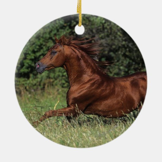 Arabische Stallion in de gras Keramisch Ornament (Achterkant)