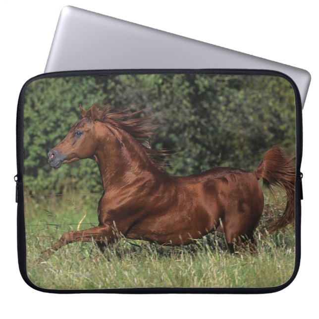 Arabische Stallion in de gras Laptop Sleeve (Voorkant)