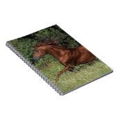 Arabische Stallion in de gras Notitieboek (Rechterzijde)