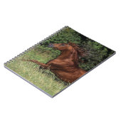 Arabische Stallion in de gras Notitieboek (Linkerzijde)