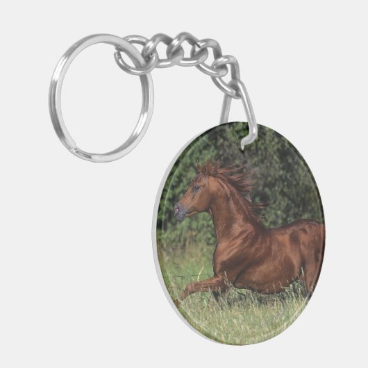 Arabische Stallion in de gras Sleutelhanger (Voorkant Links)