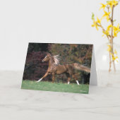 Arabische Stallion stromend mane en staart Kaart (Gele Bloem)