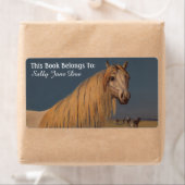 Arabische Woestijn Dream Paard Boekplaten Labels (Insitu)
