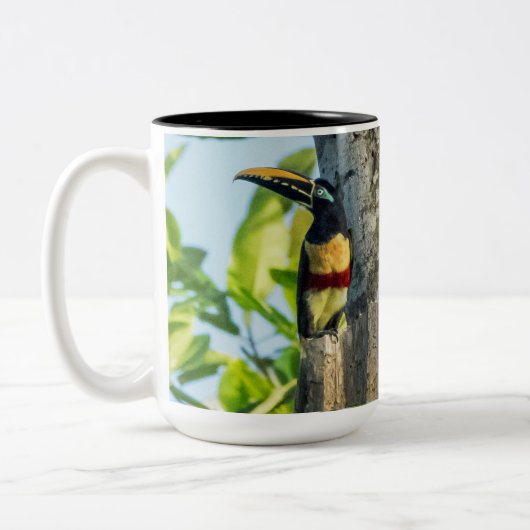 Aracari Grote Mok met kastanjeoorten (Links)