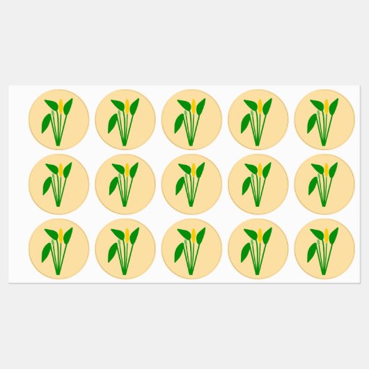 Araceae Productlabel Labels (Vel)