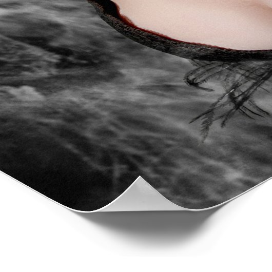 Arachne 16 x 20 poster (Hoek)